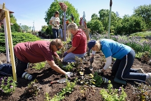 A group of staff and volunteers plant a spiral-patterned display of annual flowers at the Allen Centennial Gardens at the University of Wisconsin-Madison during spring on June 3, 2013. (Photo by Jeff Miller/UW-Madison)